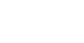 evolution gaming logo